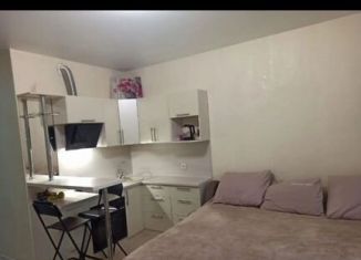 Сдаю в аренду квартиру студию, 30 м2, Котельники, микрорайон Новые Котельники, 4