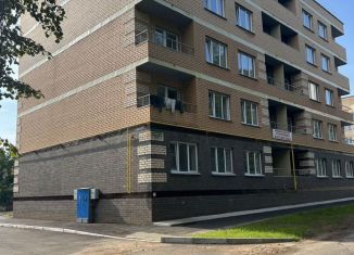 Продаю 1-комнатную квартиру, 33 м2, Великие Луки, улица Сибирцева, 14