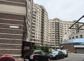 Помещение свободного назначения на продажу, 119 м2, Санкт-Петербург, метро Парнас, проспект Луначарского, 11к3