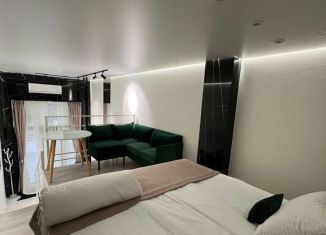 Сдается в аренду квартира студия, 50 м2, Крым, улица Дражинского, 48