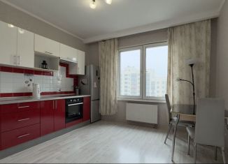 Сдаю в аренду 1-комнатную квартиру, 45 м2, Казань, улица Сибгата Хакима, 40