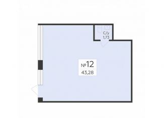 Продается помещение свободного назначения, 43.28 м2, Воронеж, улица Ломоносова, 114Ю, Центральный район