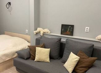 Сдача в аренду 1-комнатной квартиры, 30 м2, Великий Новгород, Каберова-Власьевская улица, 15