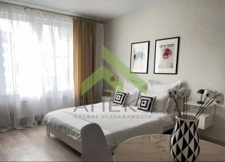 Продаю квартиру студию, 28 м2, Воронеж, улица Загоровского, 1, ЖК Россия - Пять столиц