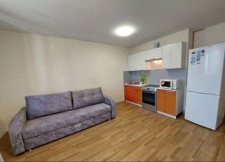 Сдается в аренду квартира студия, 30 м2, Республика Башкортостан, улица Машинистов, 8