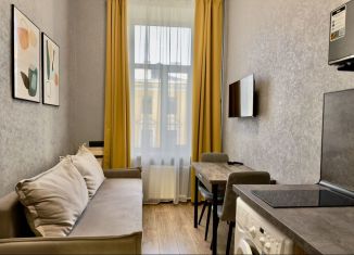 Сдача в аренду квартиры студии, 16 м2, Санкт-Петербург, 5-я Советская улица, 26