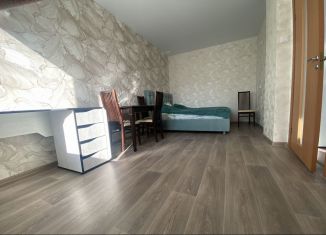 Продам двухкомнатную квартиру, 47.3 м2, сельский посёлок Новинки, ЖК Новинки Смарт Сити, 2-я Дорожная улица, 1