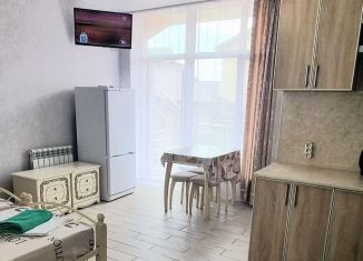 Сдаю в аренду квартиру студию, 28 м2, Сочи, улица Ленина, 139