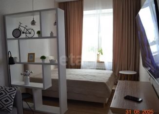 Сдам однокомнатную квартиру, 37 м2, Новосибирск, Тополёвая улица, 27, Октябрьский район