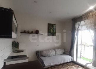 Сдается квартира студия, 25 м2, Новосибирск, Кубовая улица, 113/5, метро Заельцовская