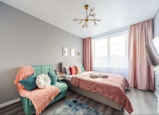 Сдается 1-ком. квартира, 33 м2, Санкт-Петербург, проспект Ветеранов, 210, Красносельский район