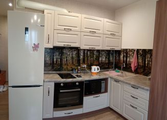 Сдача в аренду квартиры студии, 23 м2, Новосибирск, улица Фадеева, 66/8, метро Заельцовская