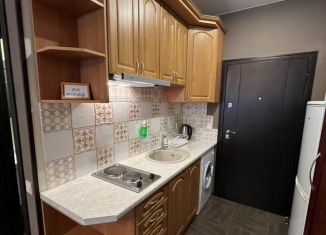 Сдается в аренду квартира студия, 35 м2, Санкт-Петербург, улица Достоевского, 24/9