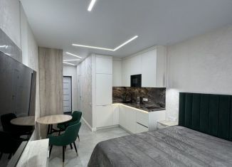 Сдам квартиру студию, 24 м2, Сочи, Ясногорская улица, 16/2к7