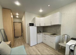 Продам квартиру студию, 20 м2, Тюмень, улица Новосёлов, 117