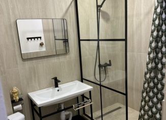 Сдается в аренду квартира студия, 25 м2, Татарстан, проезд Юнуса Ахметзянова, 10