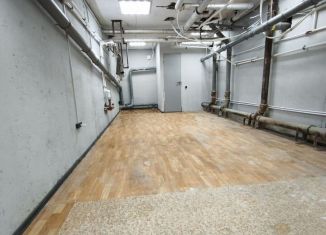 Аренда помещения свободного назначения, 27 м2, Санкт-Петербург, улица Моисеенко, 5