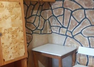 Сдача в аренду 1-ком. квартиры, 144 м2, Санкт-Петербург, проспект Ударников, 18