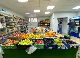 Продам торговую площадь, 79 м2, Татарстан, улица Гарифа Ахунова, 18