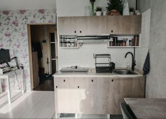 Продажа квартиры студии, 29 м2, Мурино, проспект Авиаторов Балтики, 13