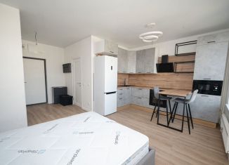 Продаю квартиру студию, 27.4 м2, Люберцы, Некрасовский проезд, 8, ЖК Люберцы 2018