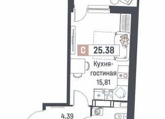 Продается квартира студия, 25.4 м2, Мурино, ЖК Авиатор