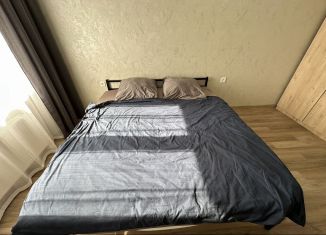 Сдаю в аренду 1-ком. квартиру, 45 м2, Республика Башкортостан, улица Софьи Перовской, 22