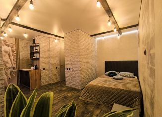 Сдаю квартиру студию, 19 м2, Ростов-на-Дону, Привокзальная улица, 3/1