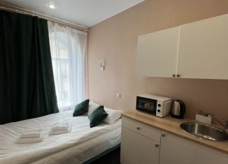 Сдаю квартиру студию, 14 м2, Санкт-Петербург, 8-я Советская улица, 50Б