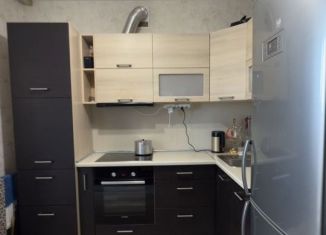 Сдача в аренду двухкомнатной квартиры, 60 м2, Новосибирск, улица В. Высоцкого, 45, Октябрьский район