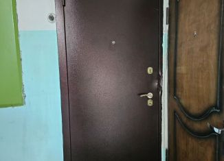 Однокомнатная квартира на продажу, 30.3 м2, Пермь, улица Елькина, 4А