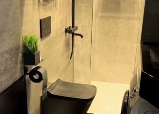 Аренда двухкомнатной квартиры, 56.6 м2, Санкт-Петербург, переулок Гривцова