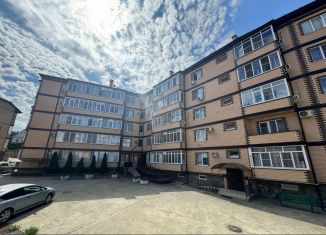 Продаю 1-ком. квартиру, 40.7 м2, Горячий Ключ, Родниковая улица, 19