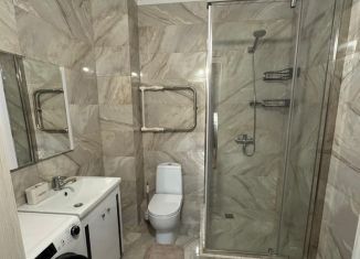 Аренда 1-комнатной квартиры, 38 м2, Казань, улица Баки Урманче, 4к4