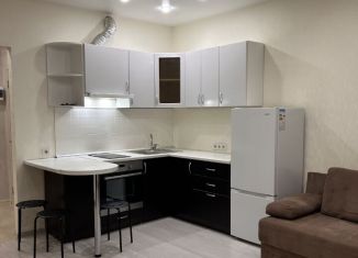 Сдам квартиру студию, 27 м2, Новосибирск, Обская улица, 82, Октябрьский район