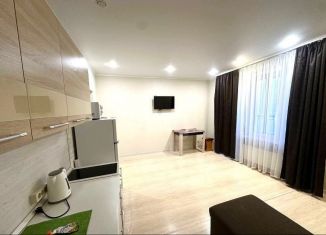 Аренда квартиры студии, 40 м2, Тюмень, улица Константина Посьета, 8, ЖК Квартал 1964