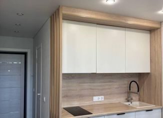 Аренда квартиры студии, 30 м2, Республика Башкортостан, Осенняя улица, 4