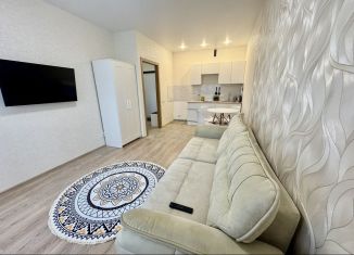 Аренда 2-ком. квартиры, 41 м2, Карелия, улица Тапиола, 2к1