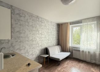 Продам квартиру студию, 16.6 м2, Республика Башкортостан, улица Ферина, 1/3