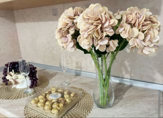 Продается 2-ком. квартира, 49 м2, городской посёлок Янино-1, Голландская улица, 10