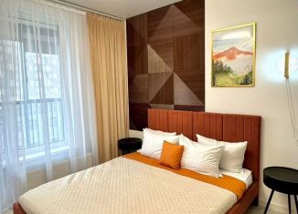 Продаю квартиру студию, 24.9 м2, Санкт-Петербург, Дальневосточный проспект, 19к1, Дальневосточный проспект