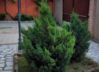 Дом в аренду, 400 м2, Краснодарский край, улица Фрунзе, 66