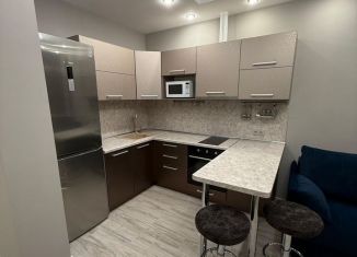 Сдается в аренду квартира студия, 23.2 м2, Новосибирск, улица Михаила Кулагина, 35, Октябрьский район