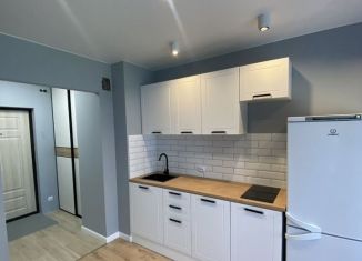 Сдам квартиру студию, 26 м2, Мурино, Екатерининская улица, 3/4