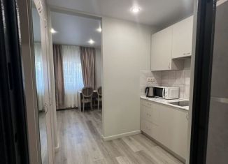 Аренда квартиры студии, 27 м2, деревня Румянцево, Садовая улица, 12Б