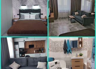 Сдается квартира студия, 38 м2, Дзержинск, улица Комбрига Патоличева, 31Г