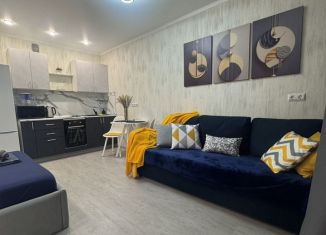 Сдается квартира студия, 27 м2, Республика Башкортостан, улица Шафиева, 3