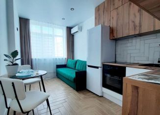 Сдам в аренду двухкомнатную квартиру, 42 м2, Ростов-на-Дону, Привокзальная улица, 3/1