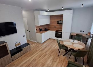 Квартира в аренду студия, 30 м2, Республика Башкортостан, улица Рудольфа Нуреева, 16