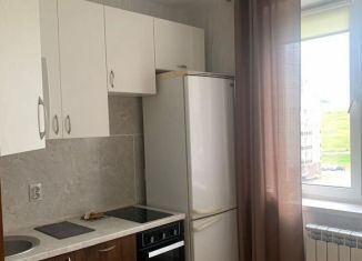 1-комнатная квартира на продажу, 26.4 м2, Нижегородская область, 2-я Дорожная улица, 4